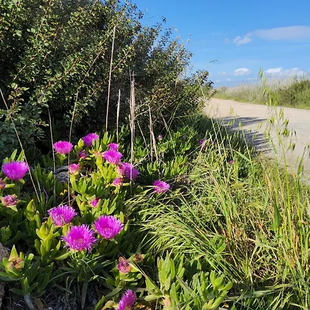 Vakantiehuis L'oasi Del Fenicottero Rosa *