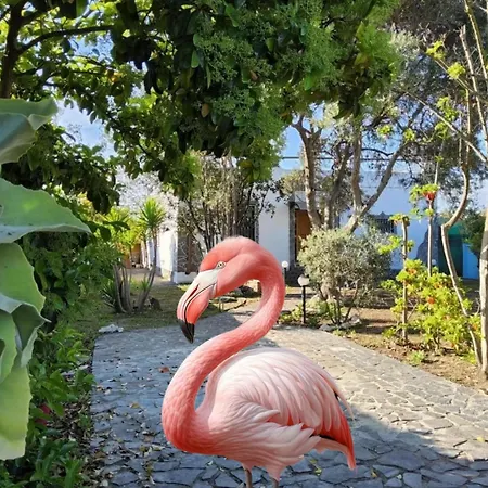 L'oasi Del Fenicottero Rosa Holiday home *