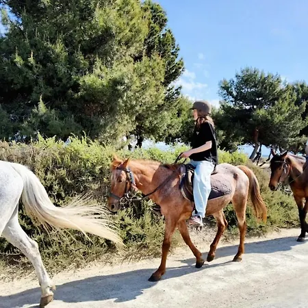 L'oasi Del Fenicottero Rosa *