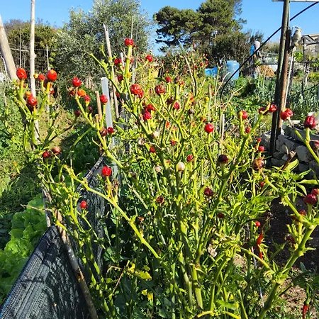 L'oasi Del Fenicottero Rosa Cagliari