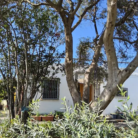 L'oasi Del Fenicottero Rosa