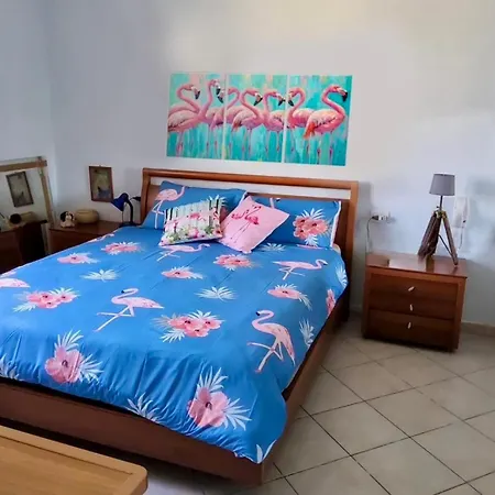 L'oasi Del Fenicottero Rosa Cagliari