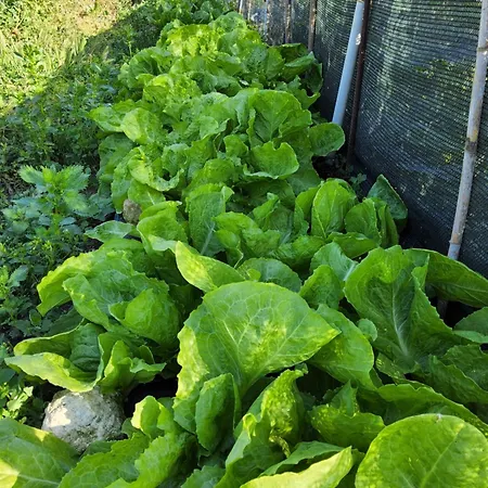 L'oasi Del Fenicottero Rosa * Cagliari