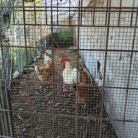 L'oasi Del Fenicottero Rosa * Cagliari