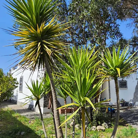 L'oasi Del Fenicottero Rosa Hébergement de vacances *