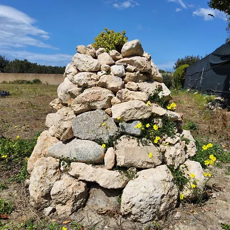 L'oasi Del Fenicottero Rosa Hébergement de vacances Cagliari