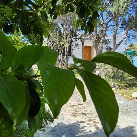 Hébergement de vacances L'oasi Del Fenicottero Rosa *