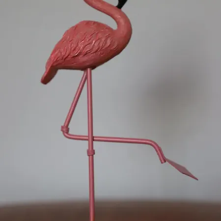 L'oasi Del Fenicottero Rosa Cagliari