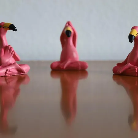 Hébergement de vacances L'oasi Del Fenicottero Rosa Cagliari