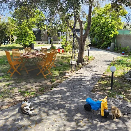 L'oasi Del Fenicottero Rosa Hébergement de vacances