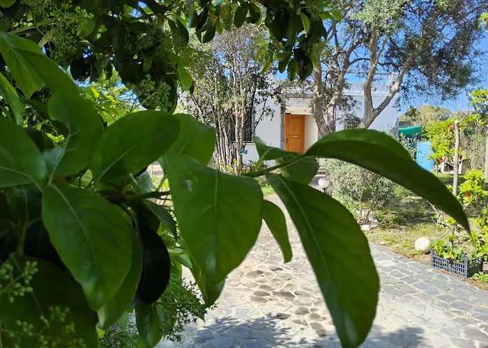 בית נופש L'oasi Del Fenicottero Rosa *