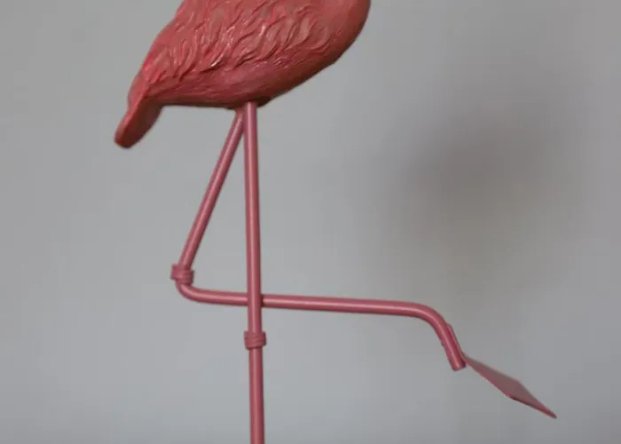 L'oasi Del Fenicottero Rosa كالياري